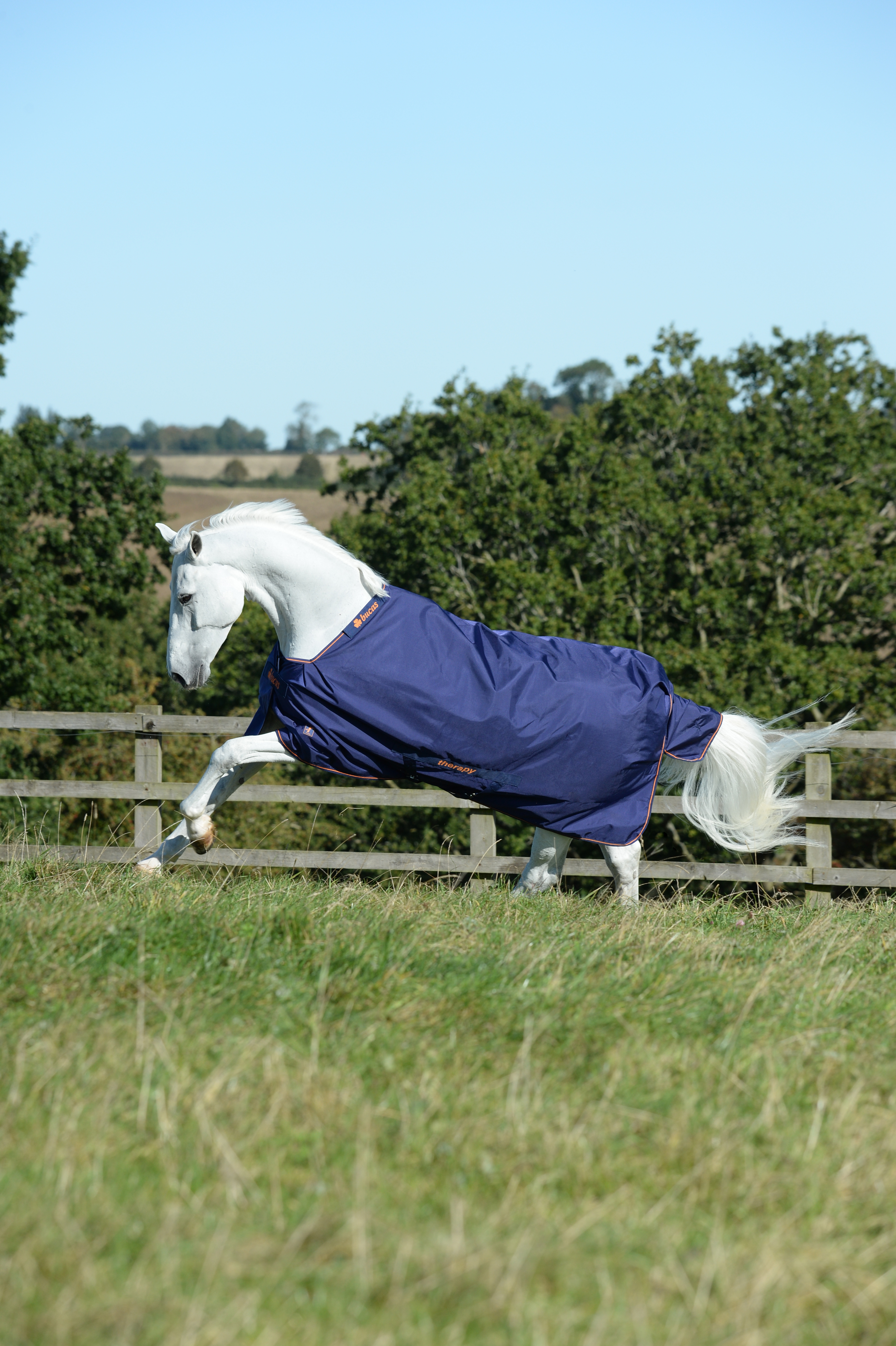 Therapy Blanket Turnout 150g in Navy/Orange