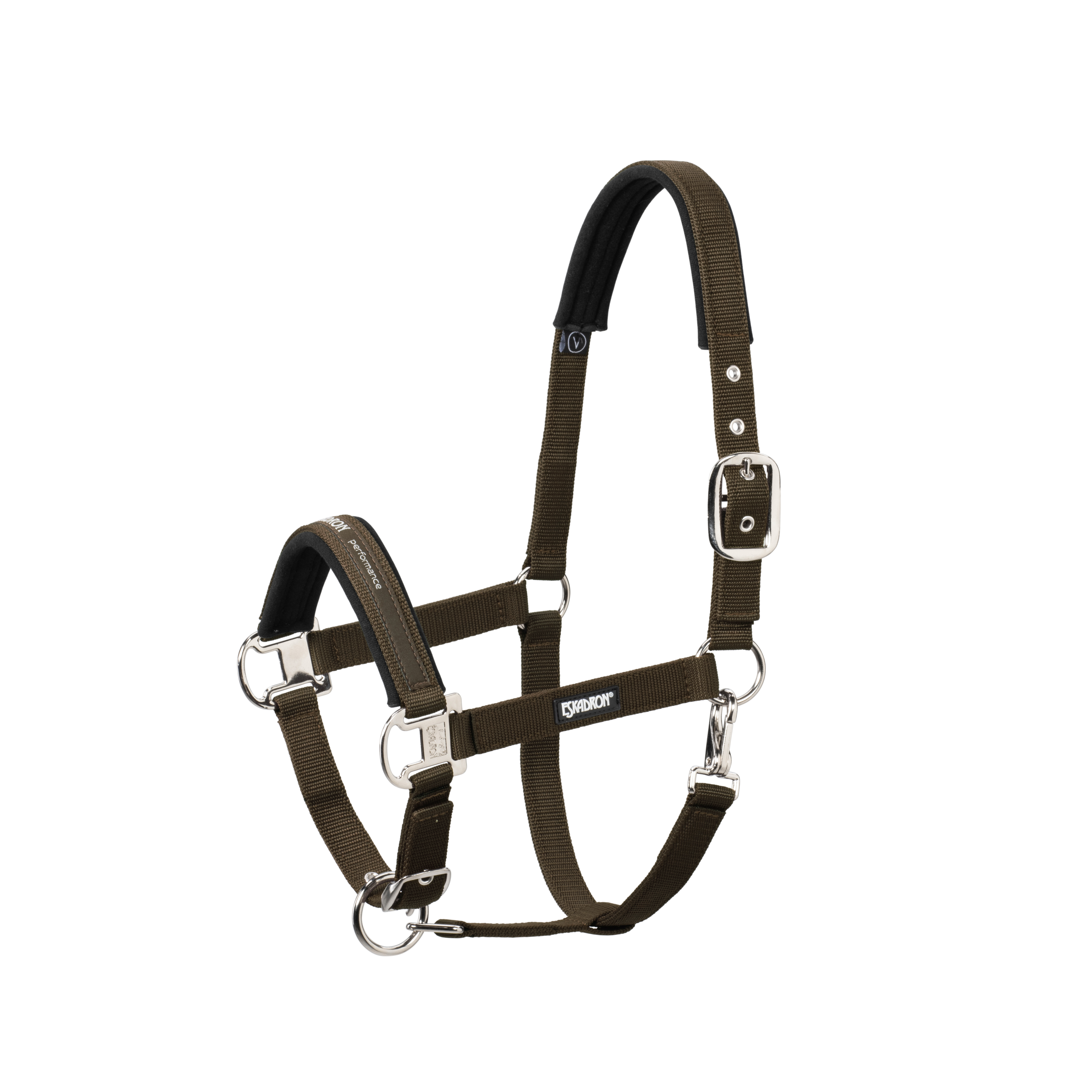 Halter Pin Buckle