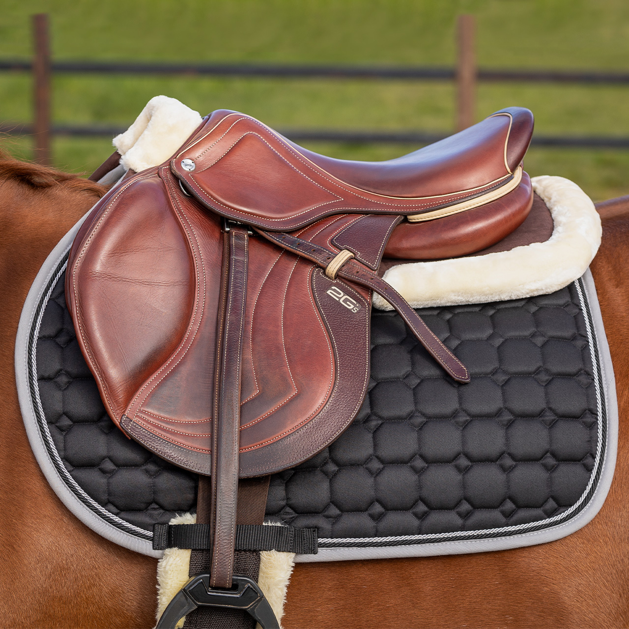 Saddle Pad Memory Foam Ontario