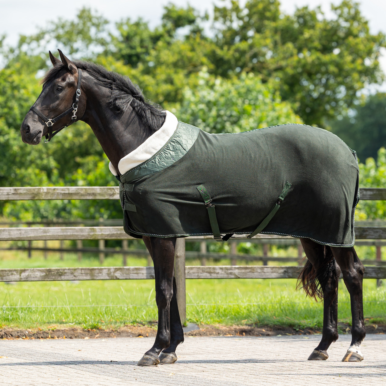 Brilliance sweat rug