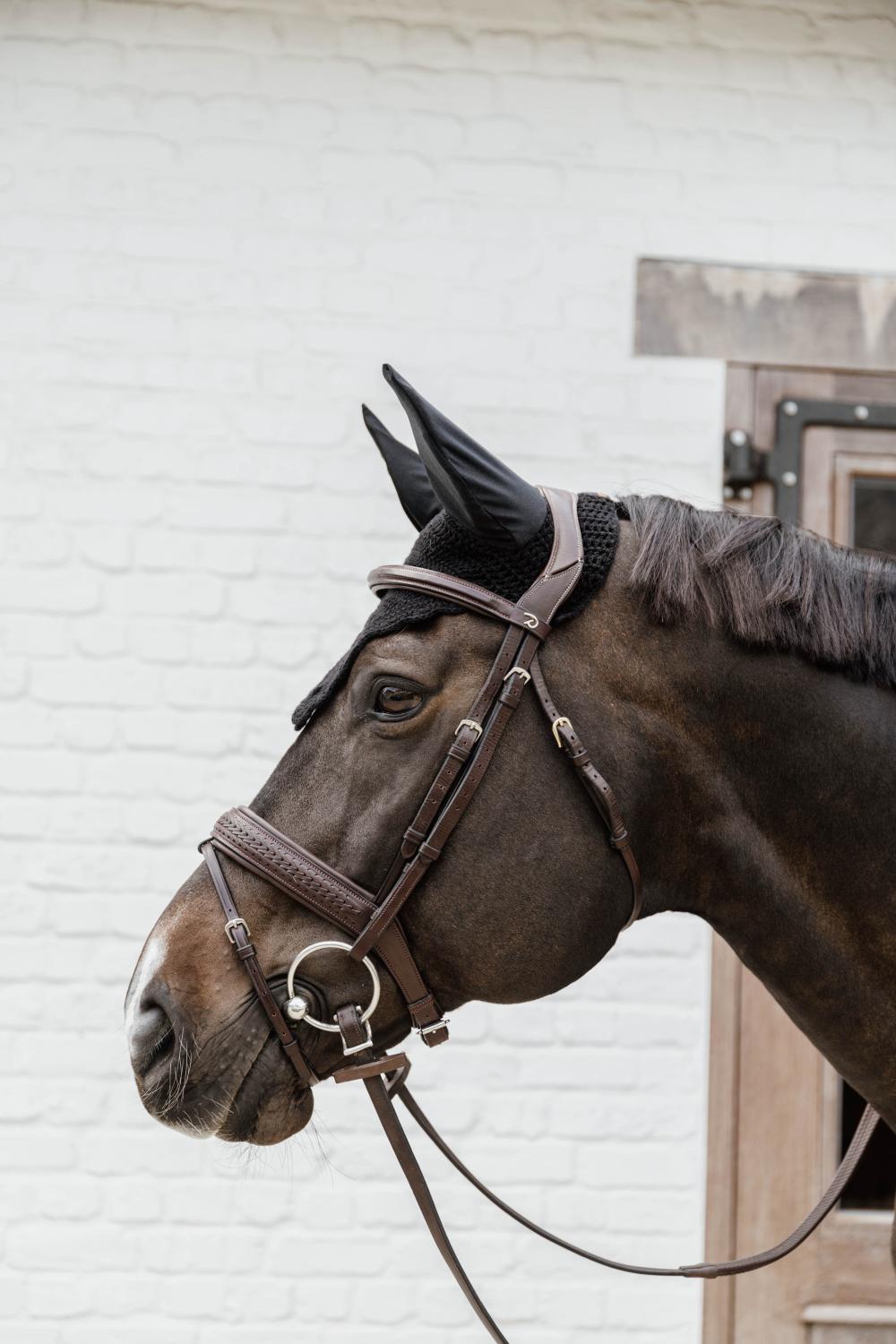 Fliegenhaube Wellington