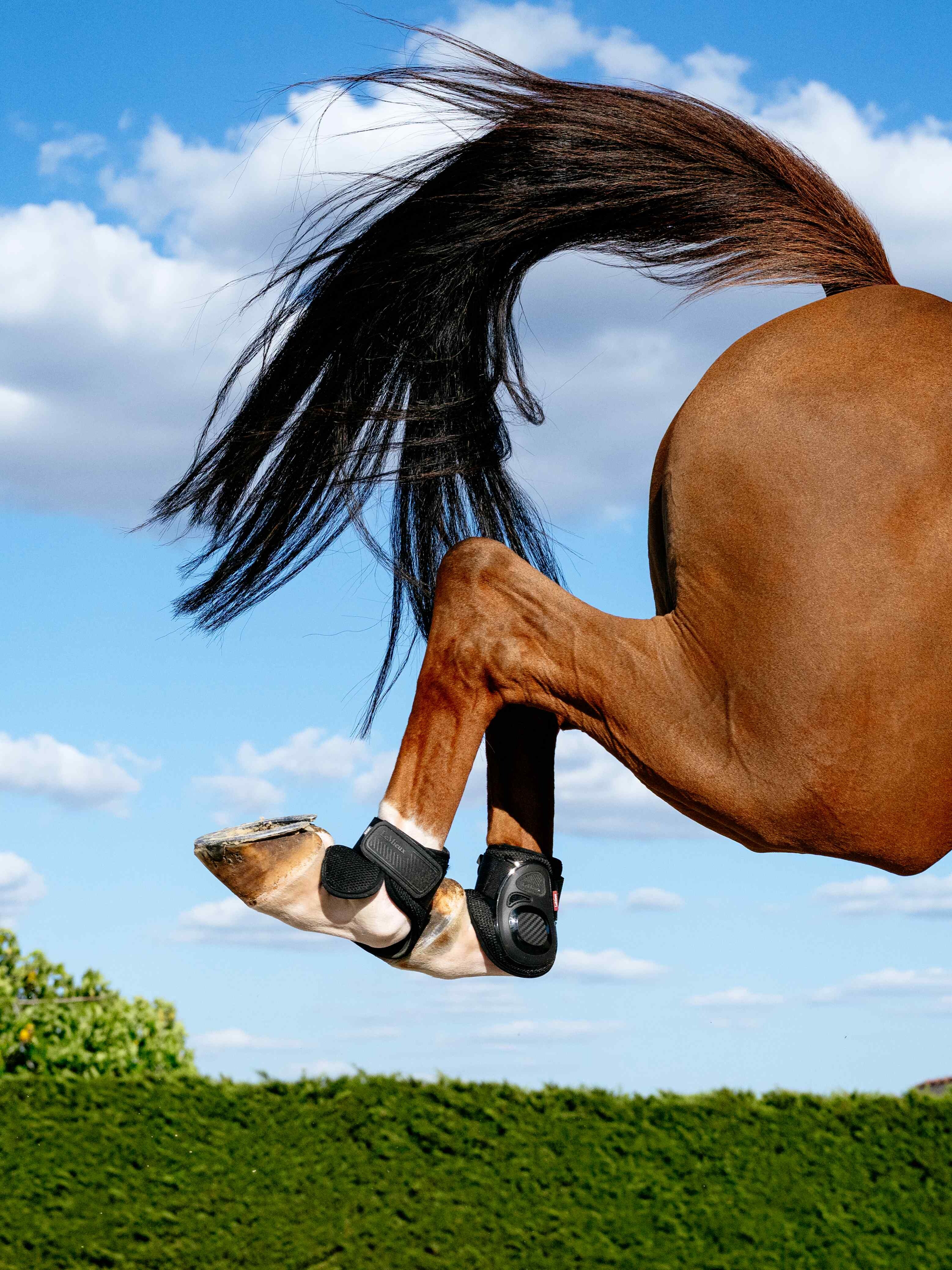 Konforme Fetlock Gamasche