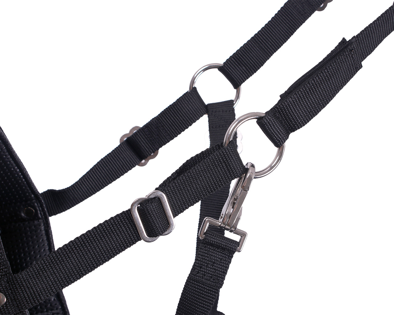 Fressbremse mit Nasenlöchern