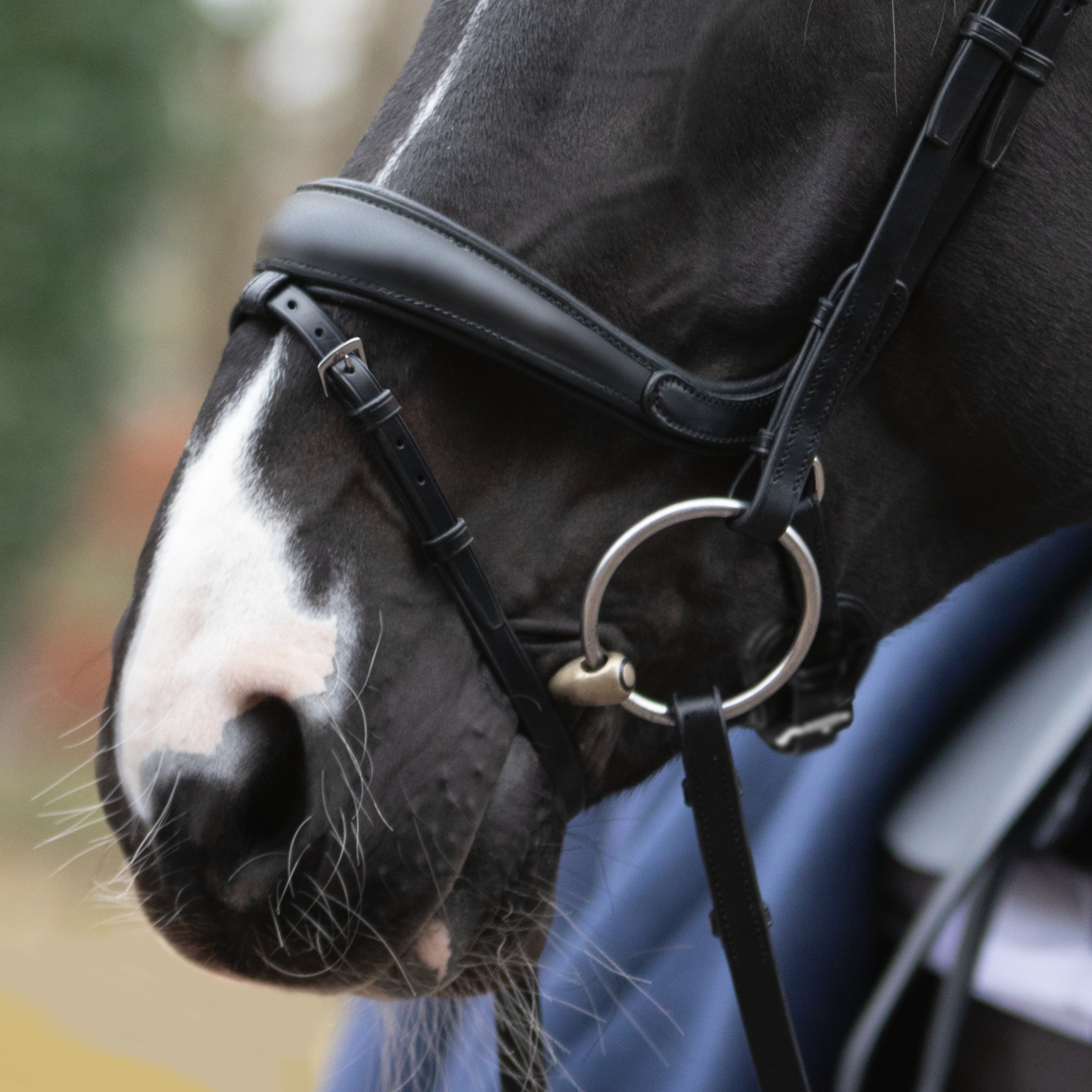 Noseband with zygomatic freedom anatomically narrow. combined in black
