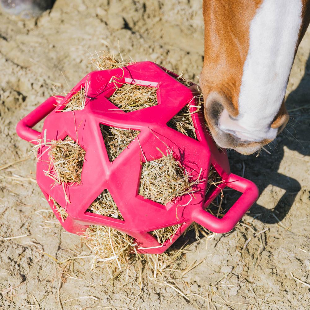 Relax horse game & hay ball