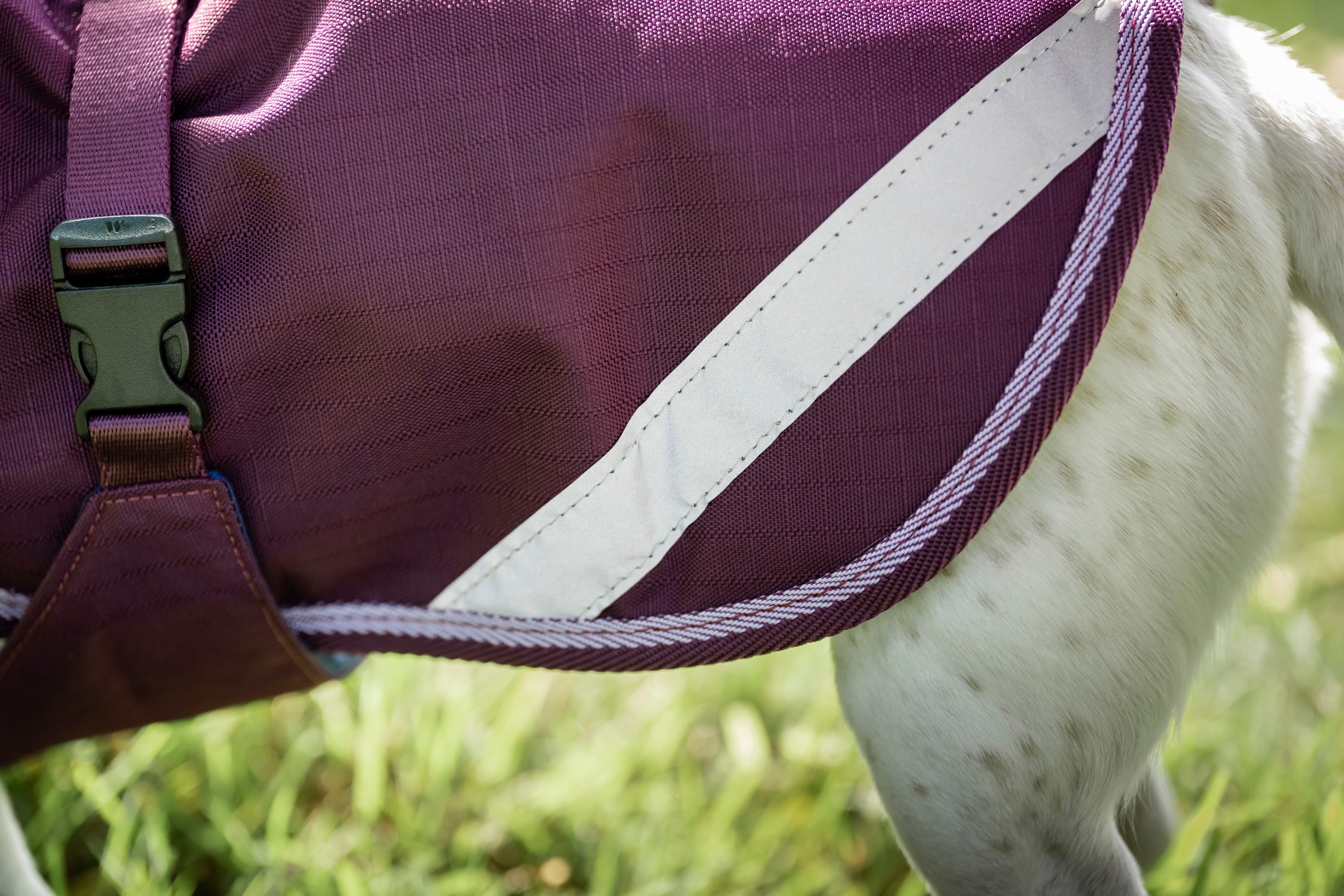 Hundedecke Freedom in Blackberry