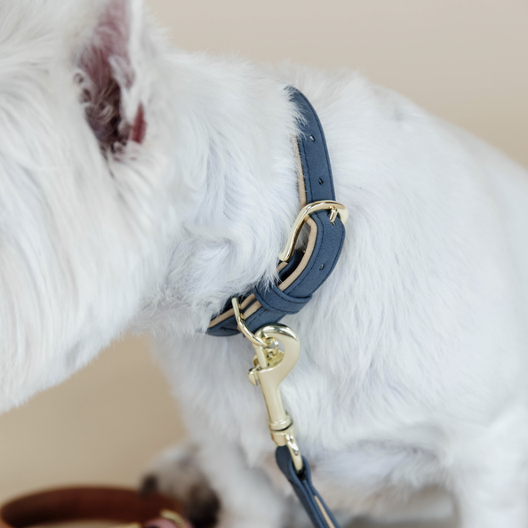 Hundehalsband Vegan Leder