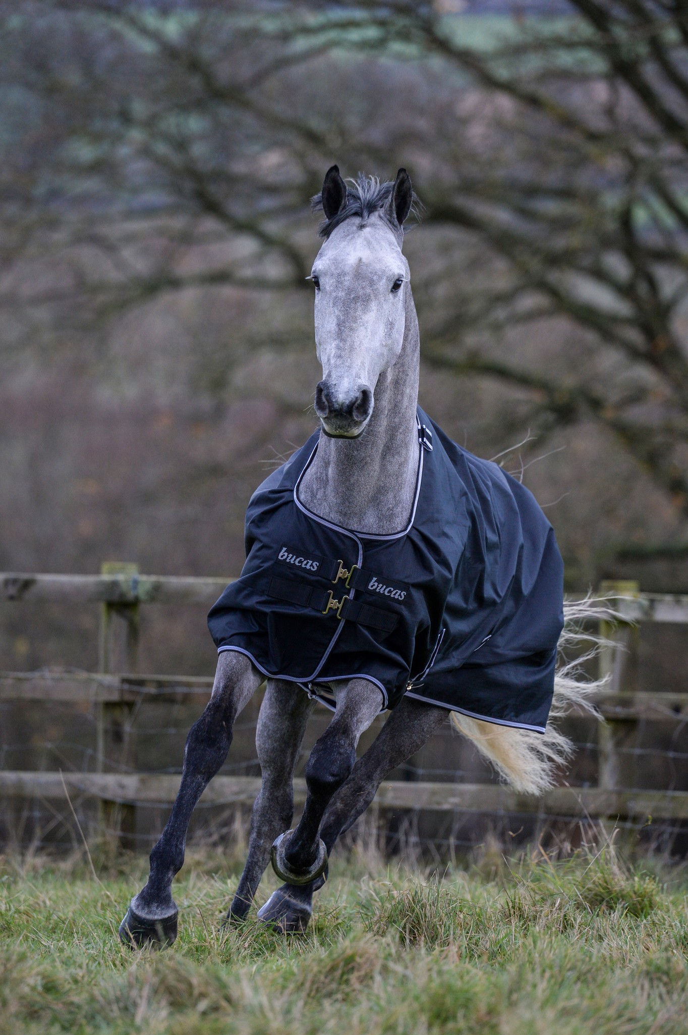 Outdoordecke Trot Turnout 50 g in Black/white