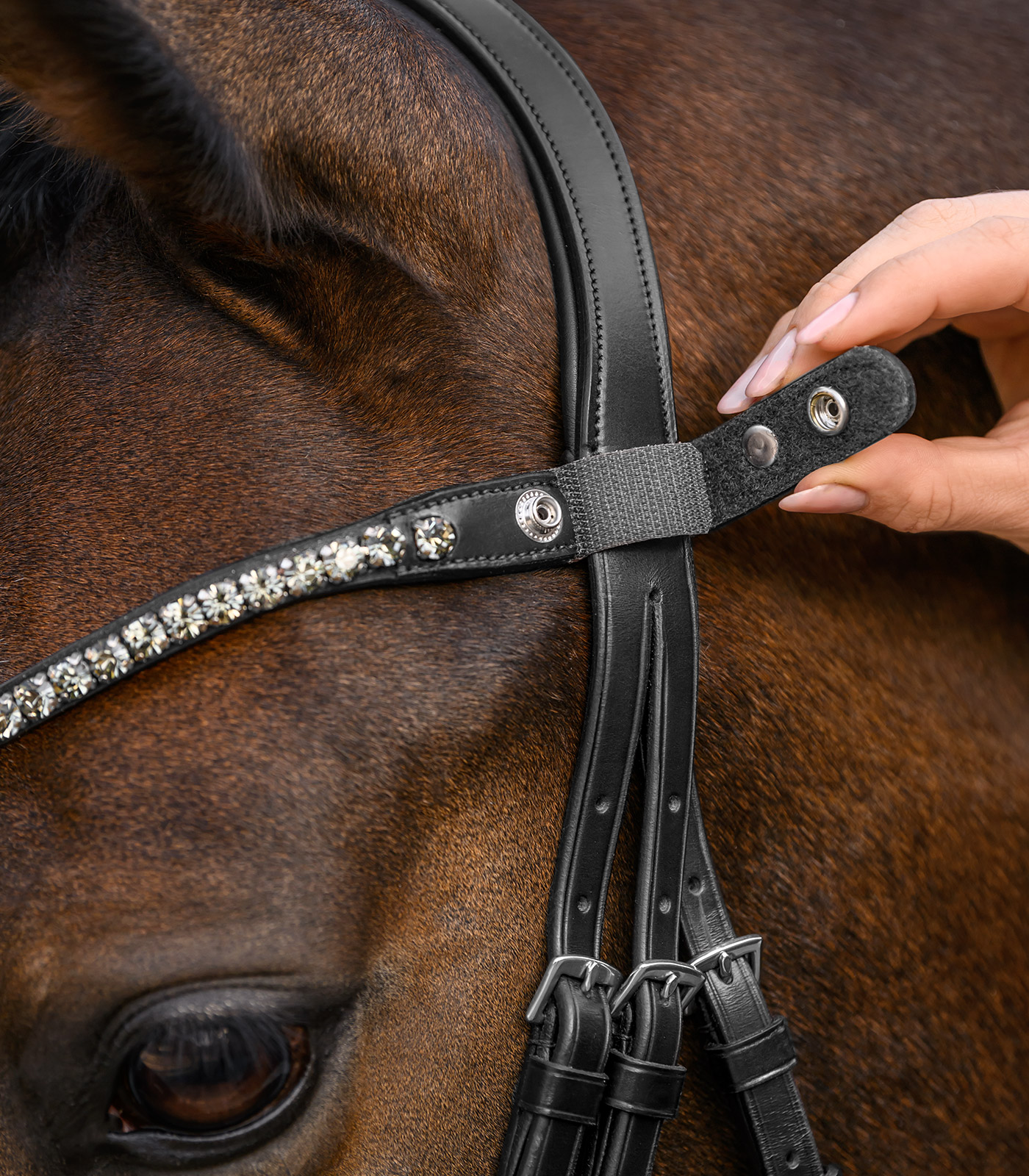 X-Line Browband Shine, black