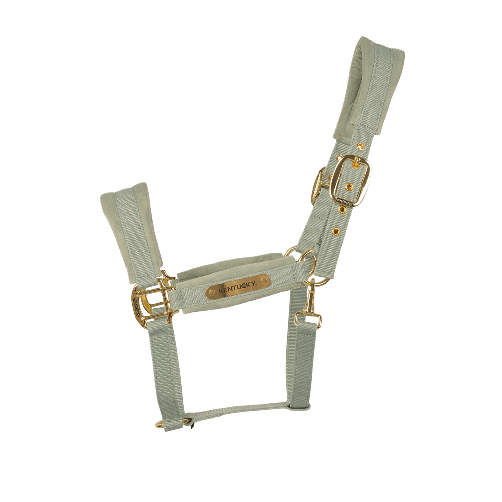 Velvet halter
