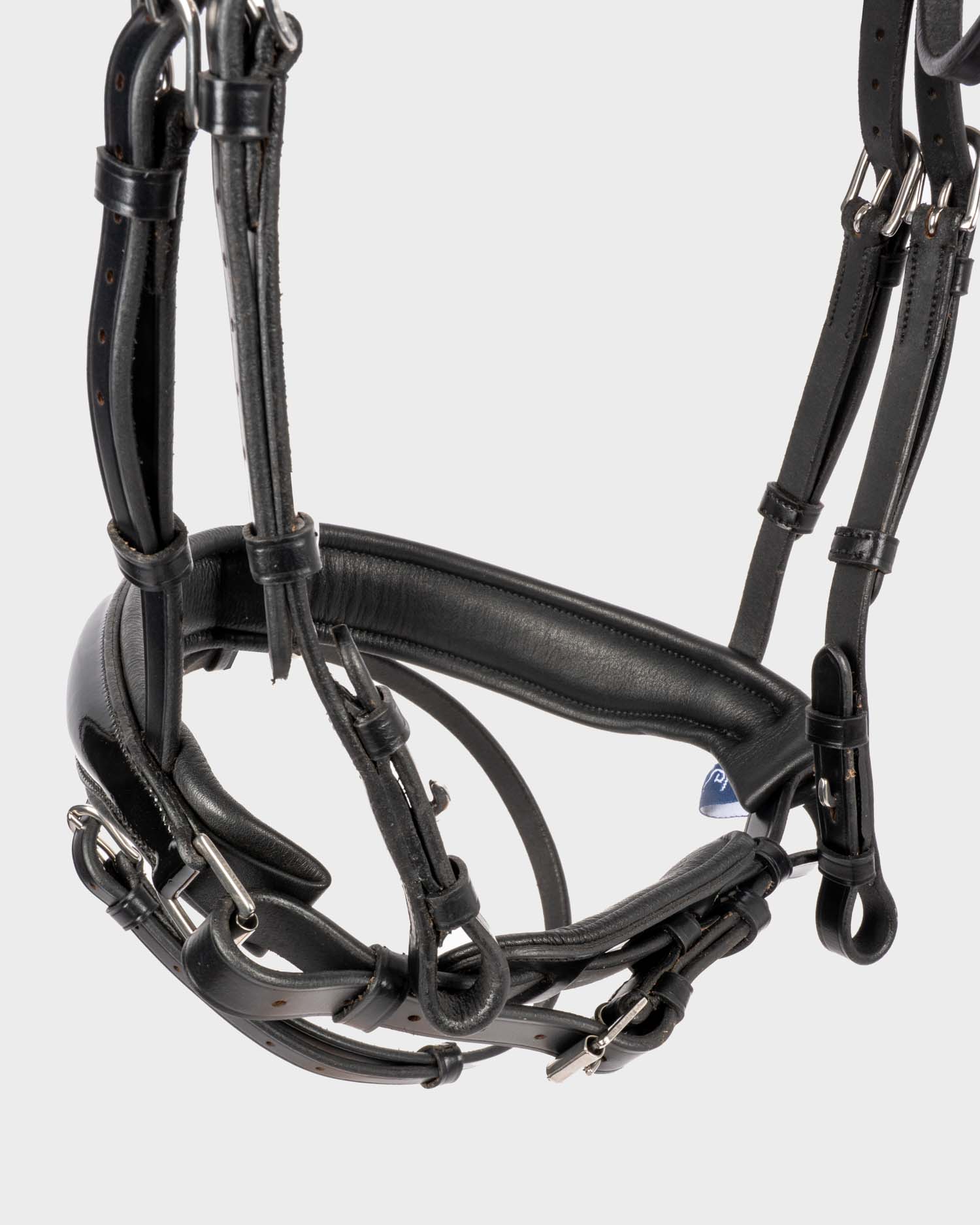 Snaffle bridle wide swedish-combined lacquer
