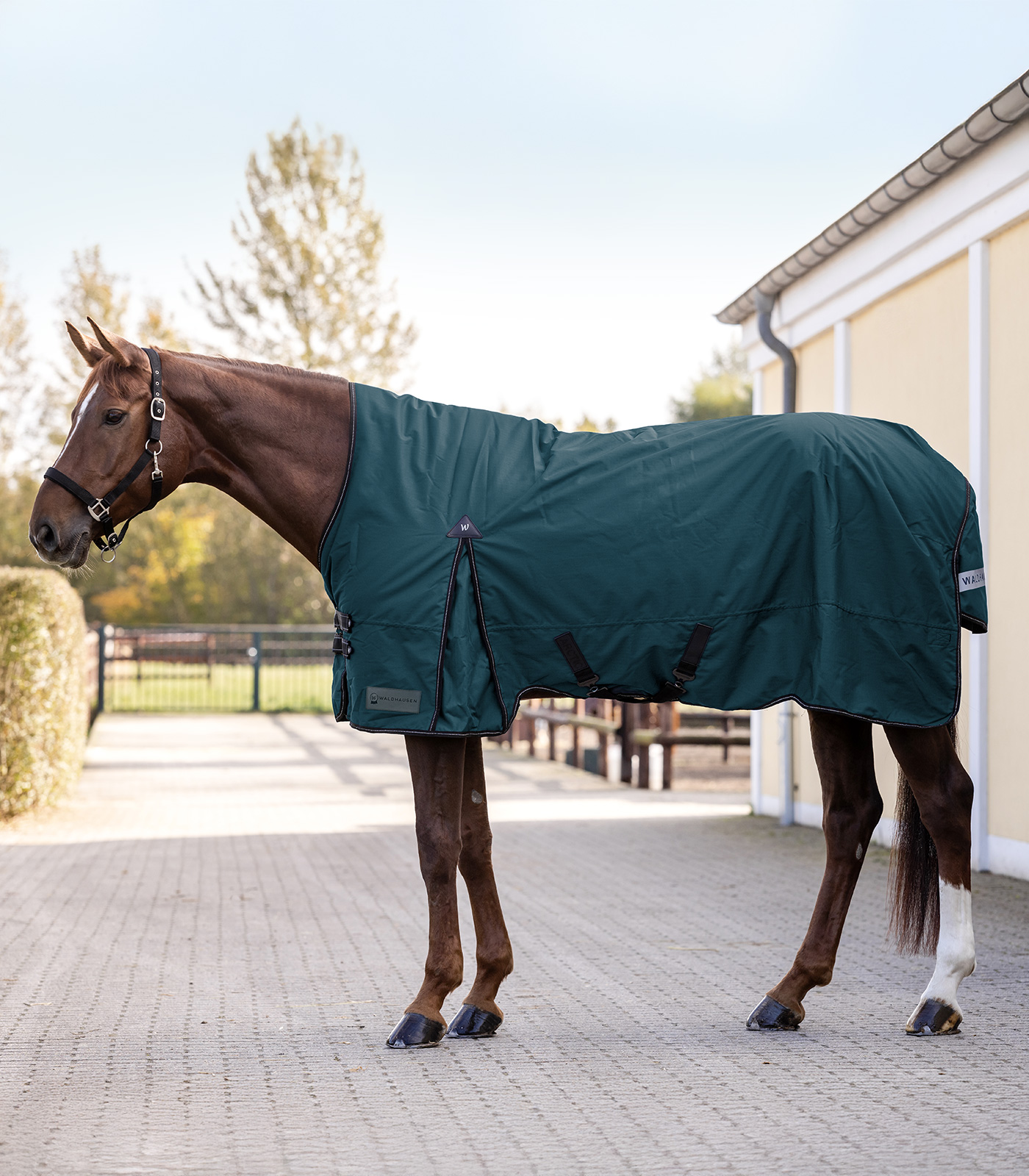 Outdoordecke Arctic, High Neck Light