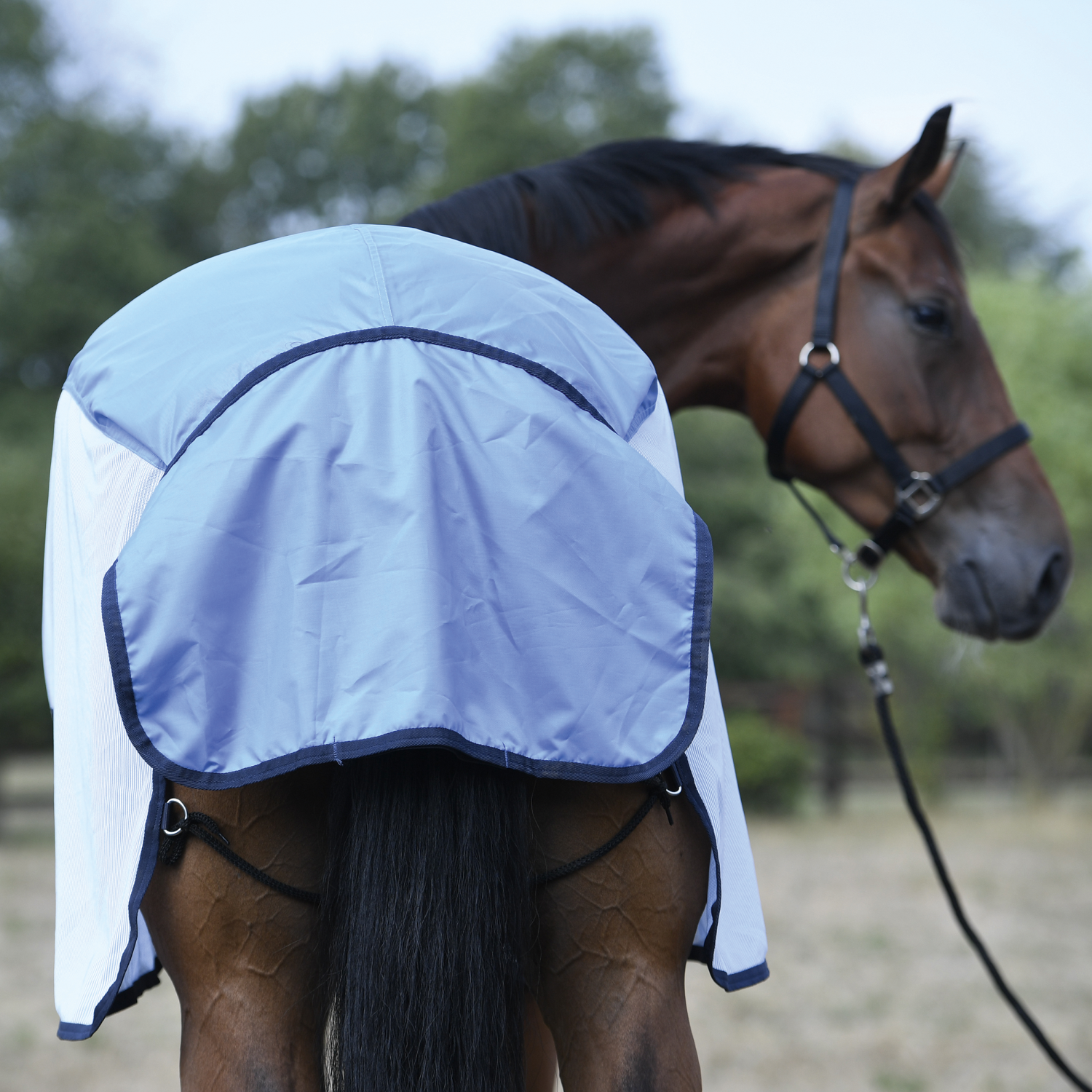 RainFly outdoor blanket