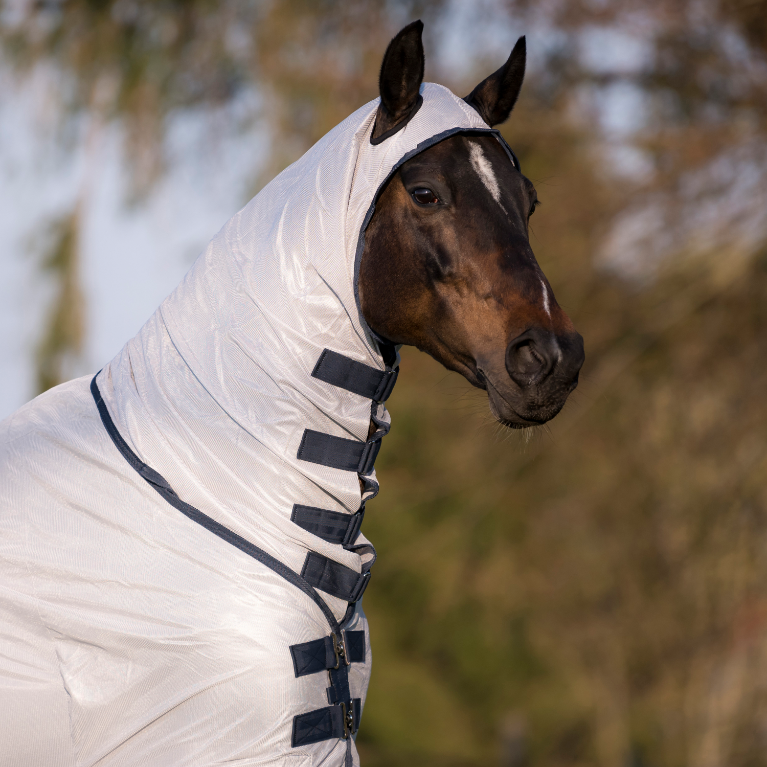 Complete Plus fly rug