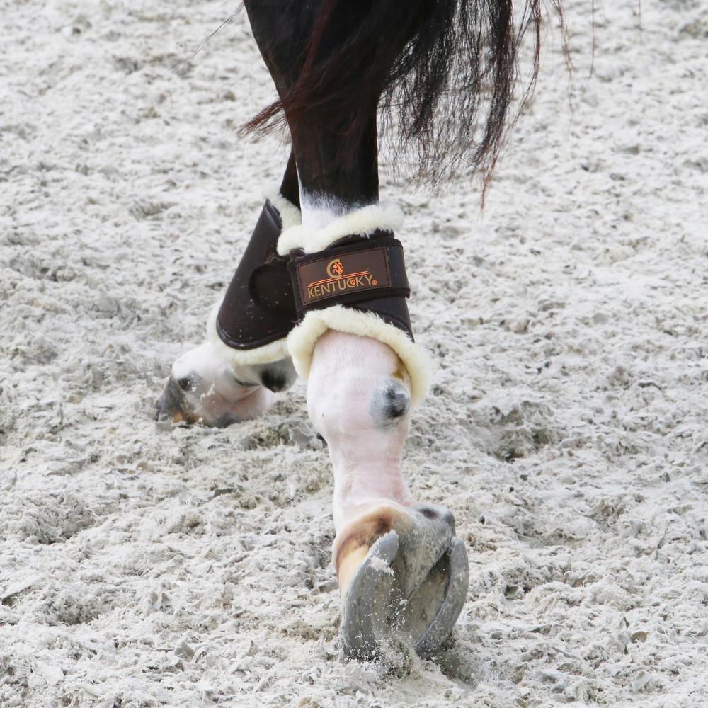 Fetlock boots leather back