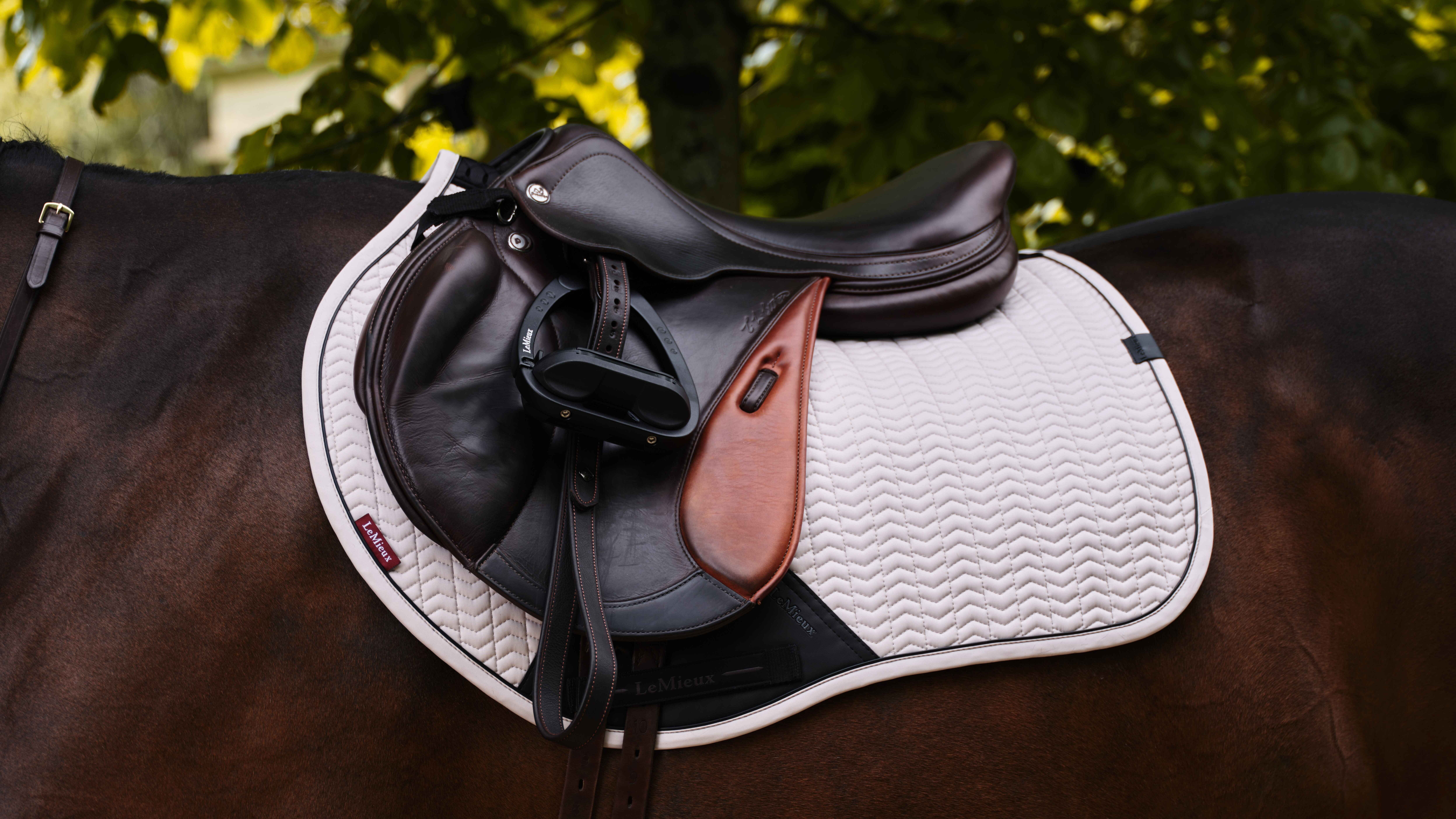 Essence Eurojump zadeldek