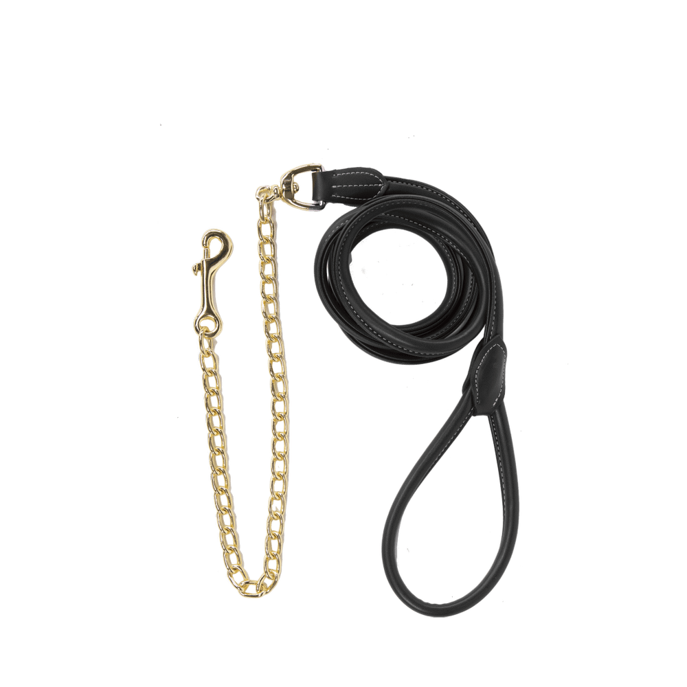 Führleine Leder Mit Kette