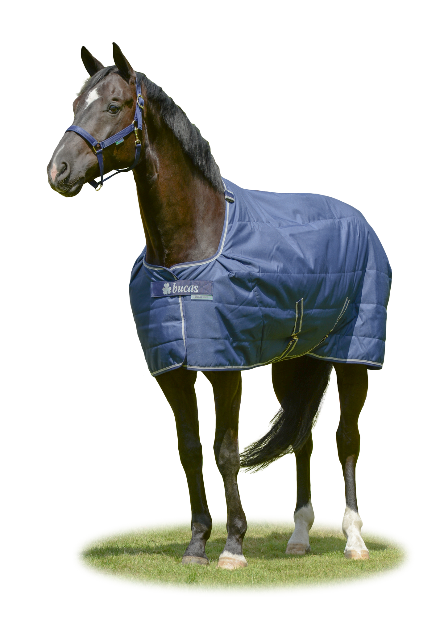Stalldecke Quilt in Navy