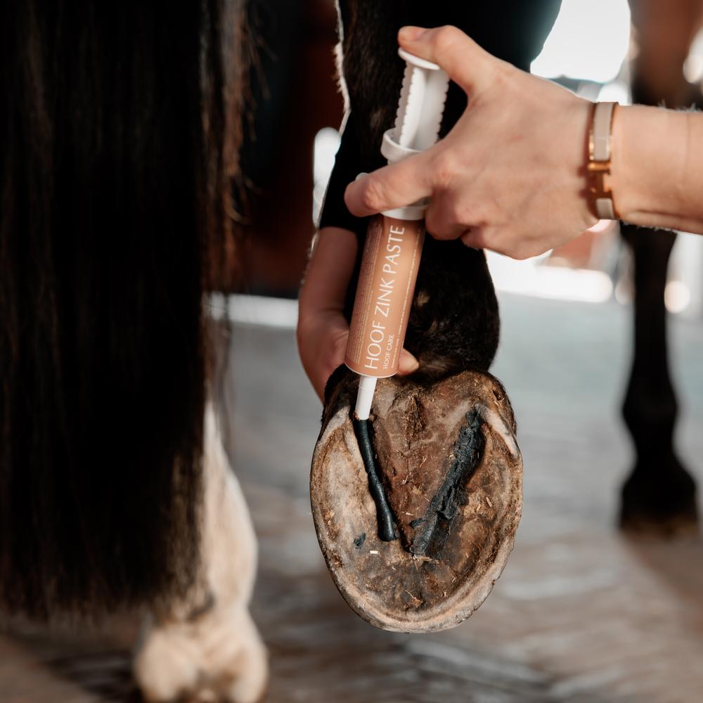 GD Equi Hoof zinc paste