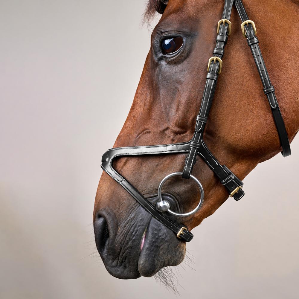 X-fit Trense DY | Dy'on