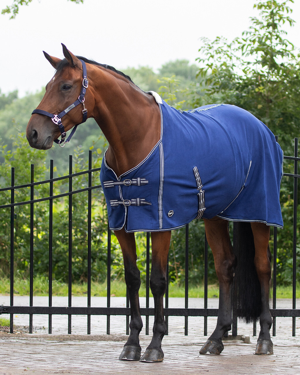 Basic sweat rug with cross surcingles