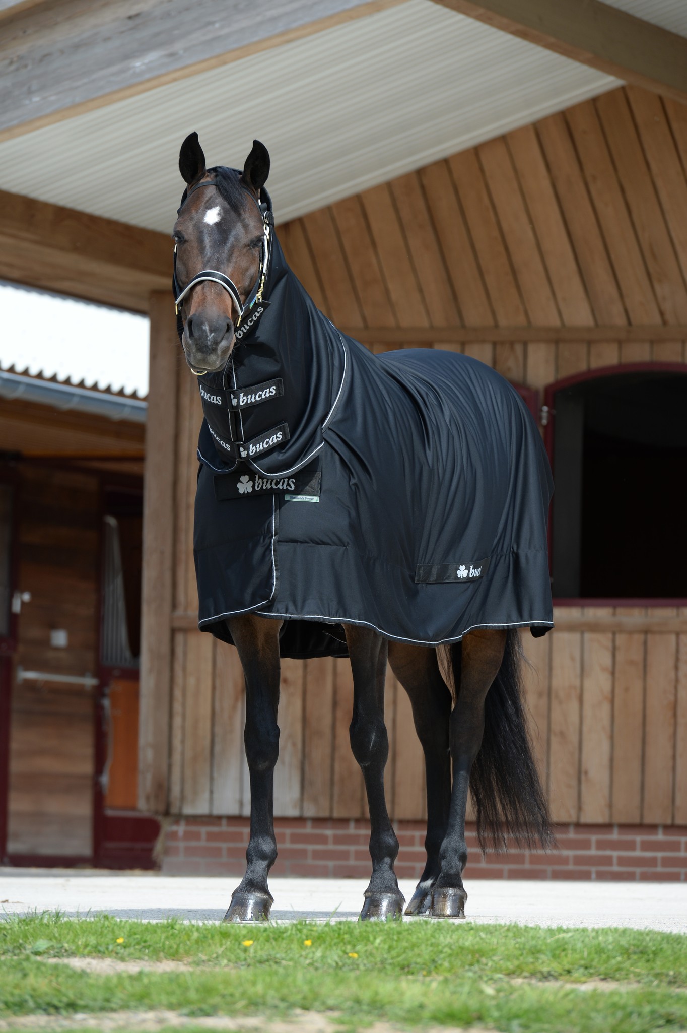 Abschwitzdecke Shamrock Power in Black/Silver