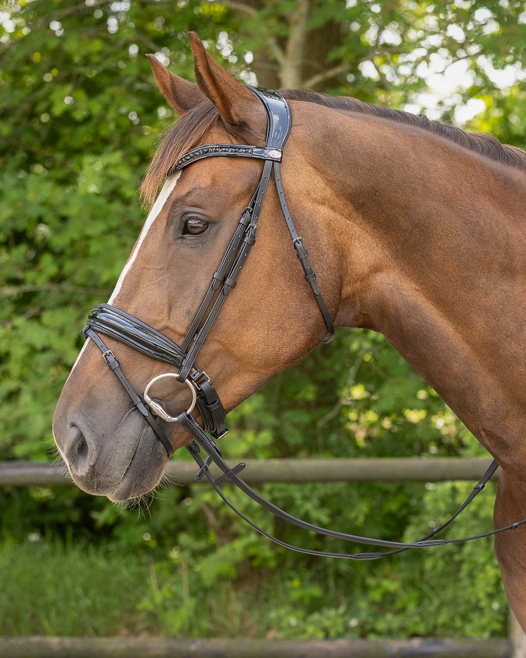 Trense Arleth in schwarz