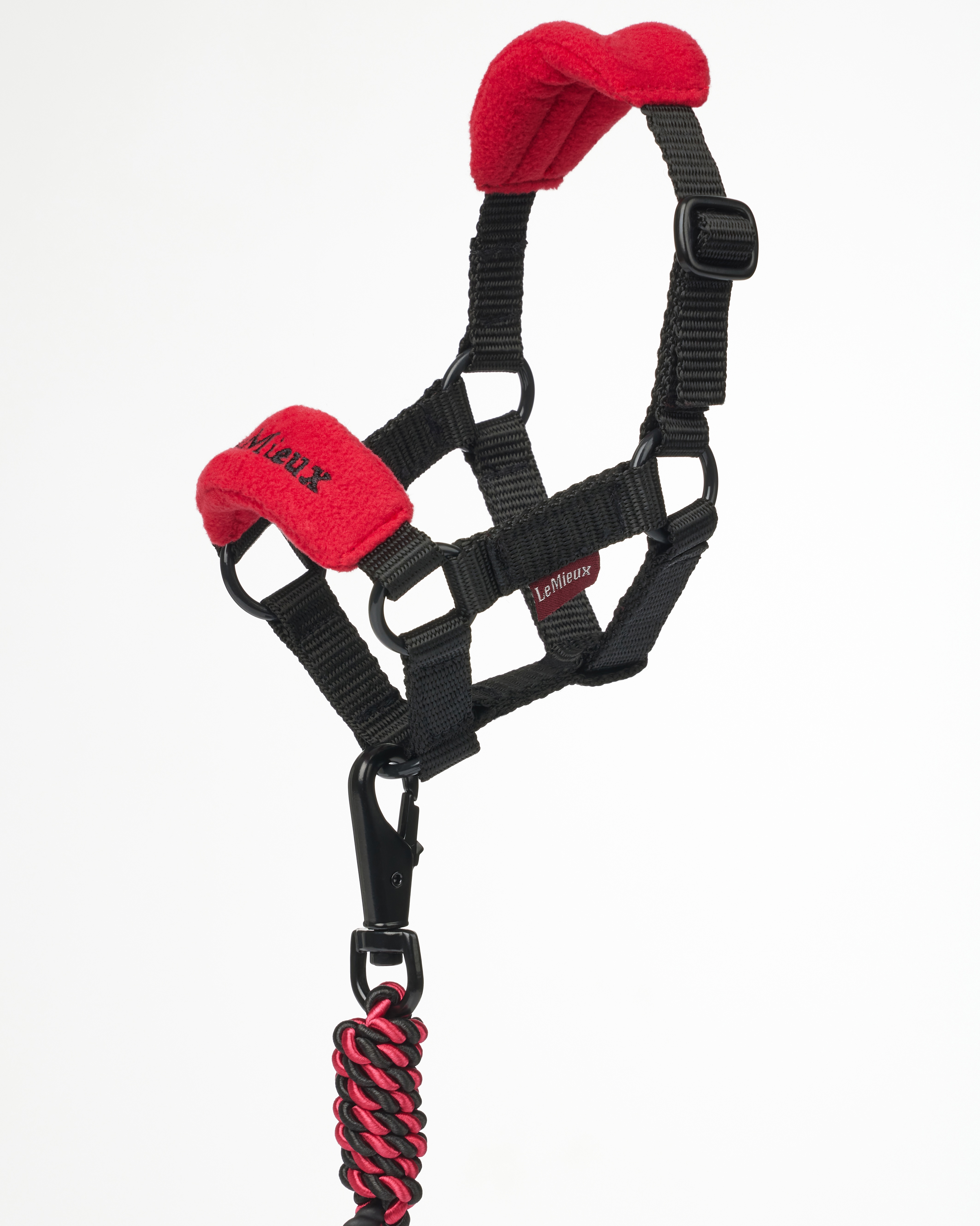 Toy Pony licol Vogue in chilli