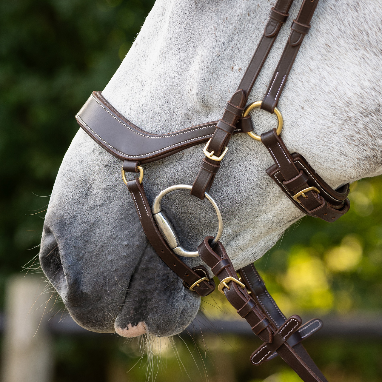 Snaffle Devi