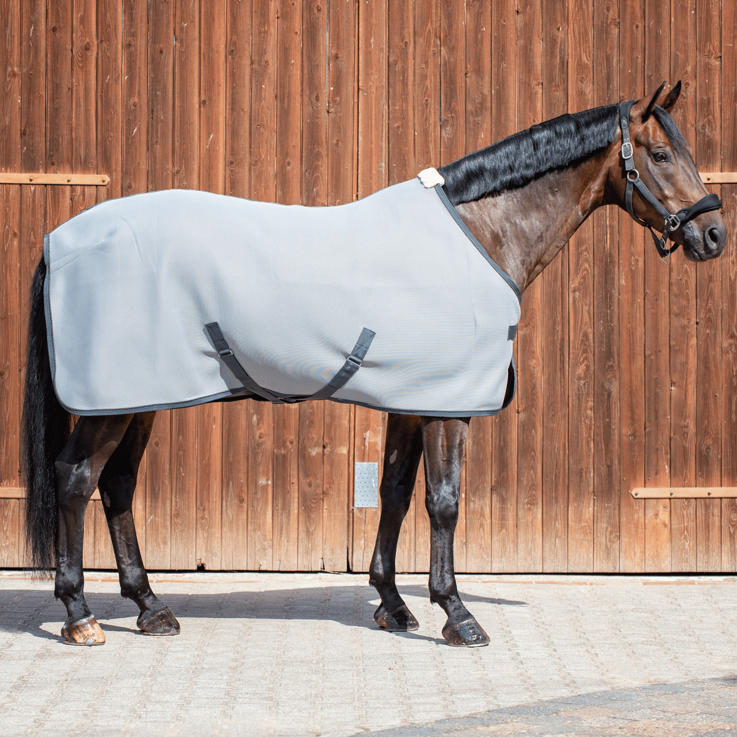 3D Air sweat rug