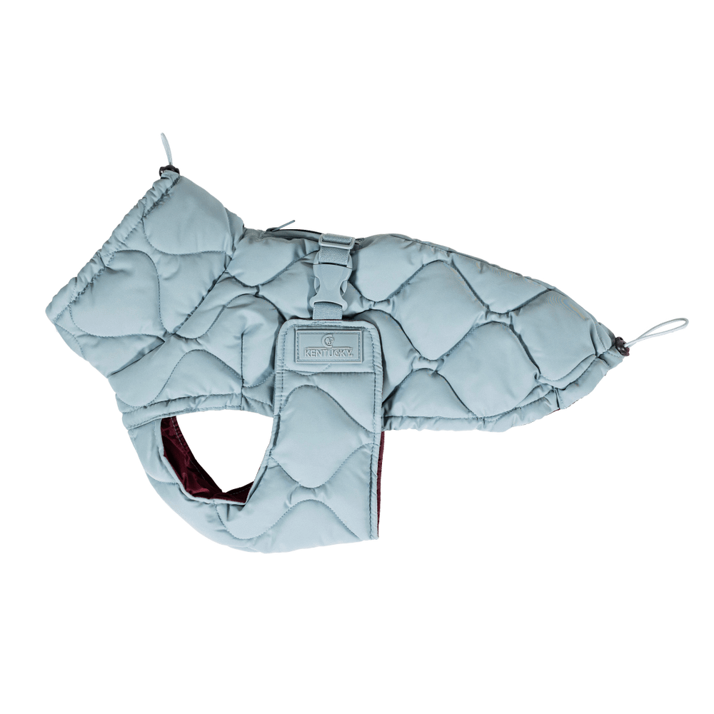 Hundemäntel Winter Pina