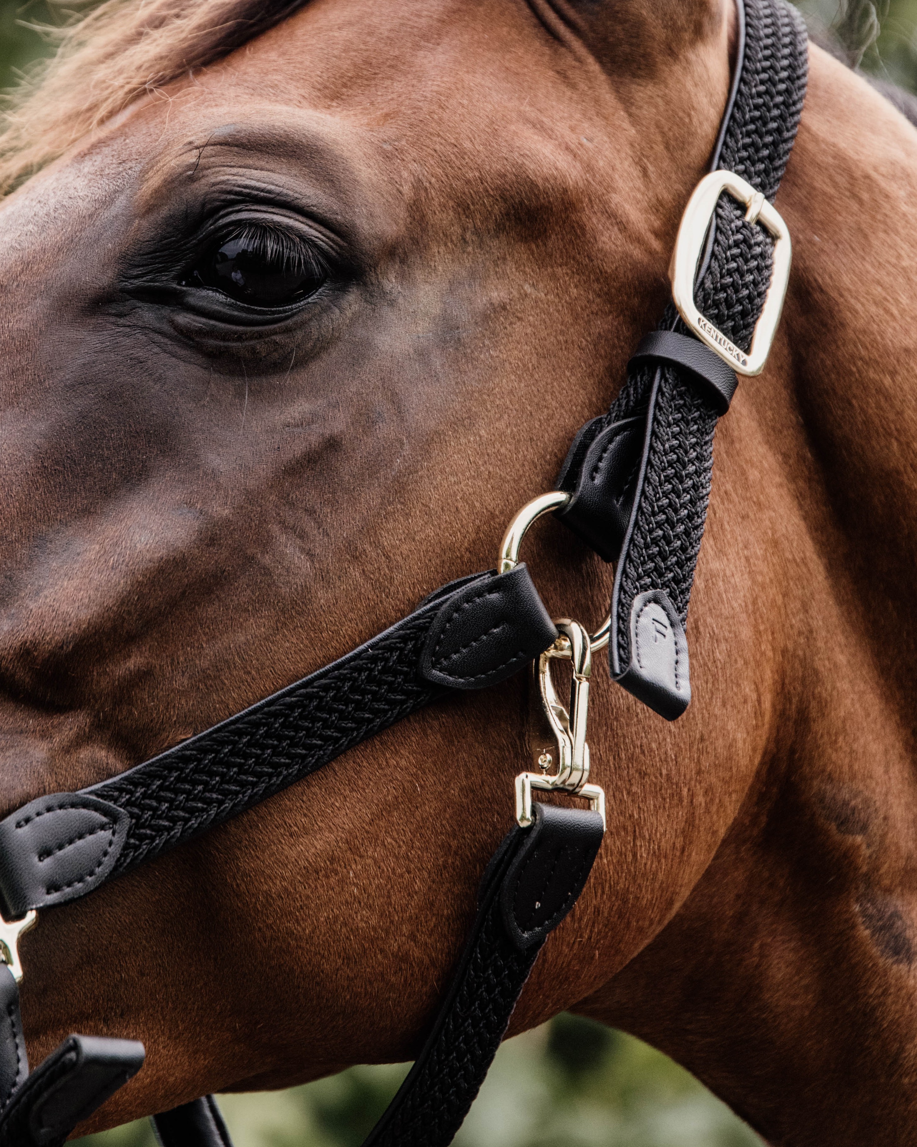 Halter Braided Nylon
