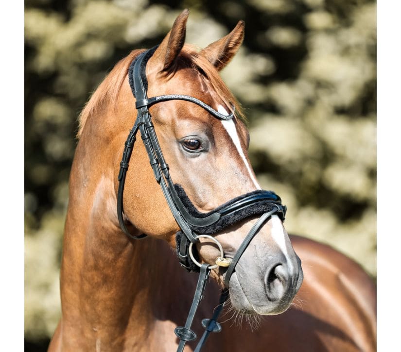 Lack-Trense "Ivella" eng.-komb.-Kunstfell