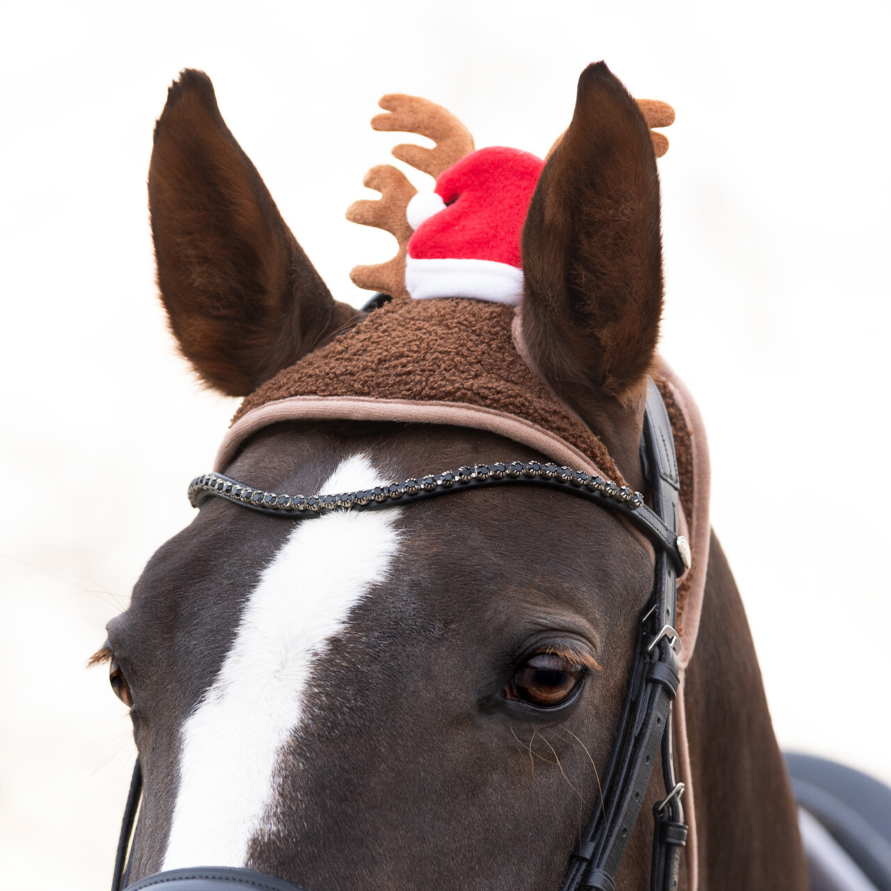 Fly ears with antlers