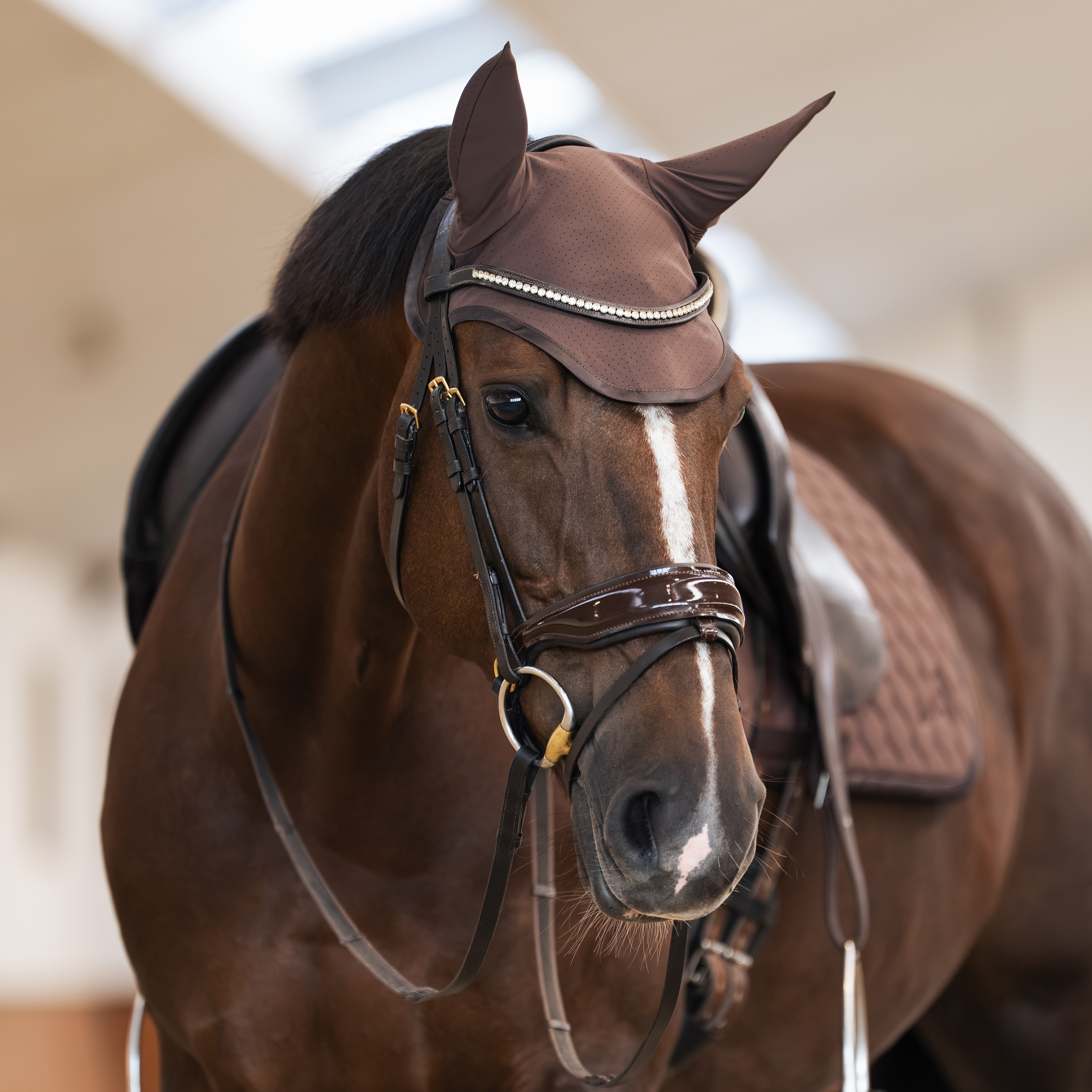 Fliegenhaube Coco