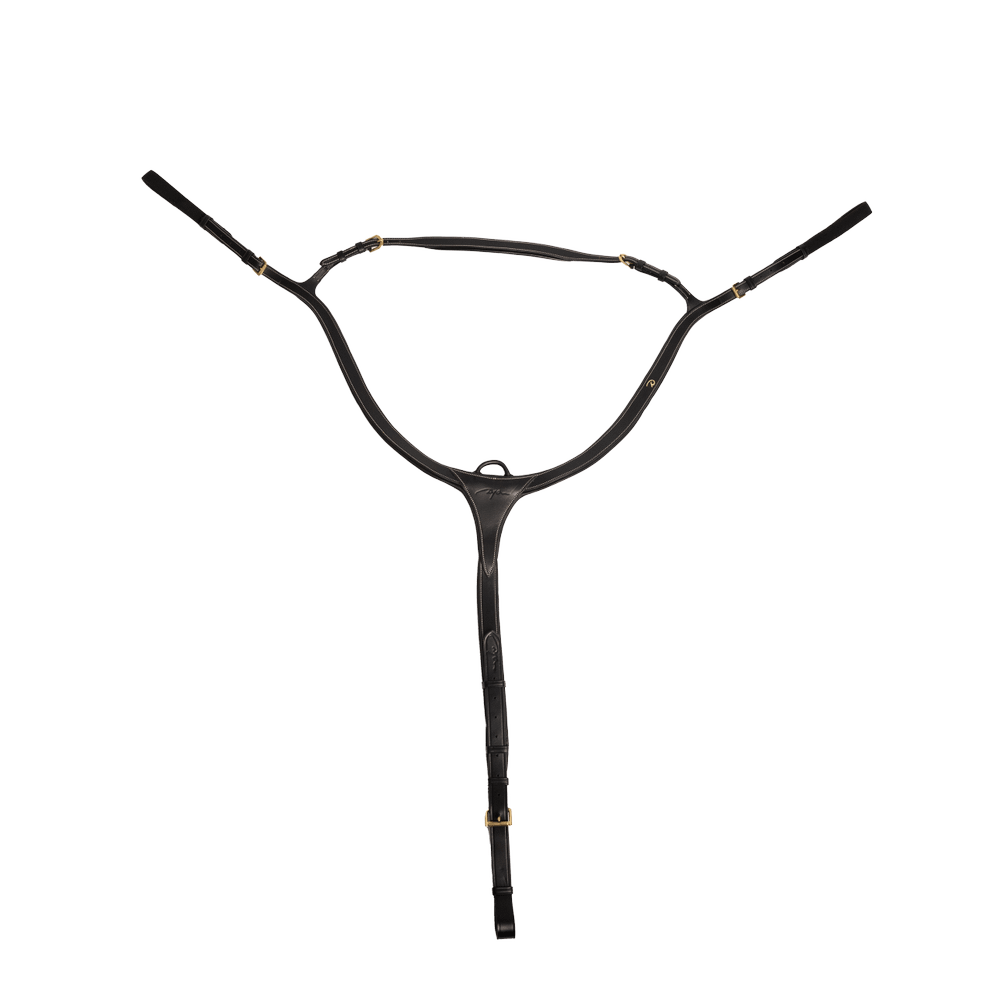 Vorderzeug mit langer Brücke | Dy'on