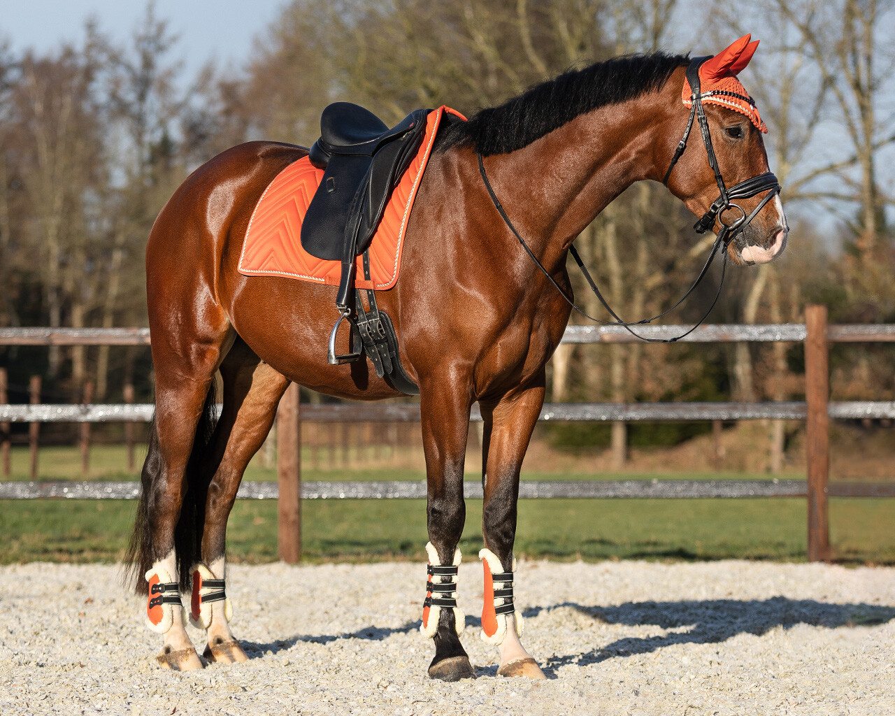 Streichkappen Menton