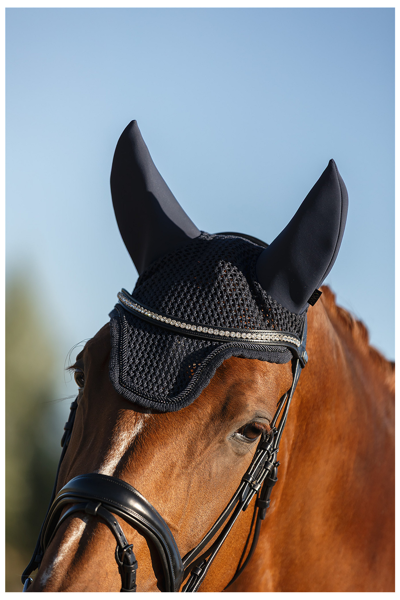 Ohrenhaube Perception ATB26005