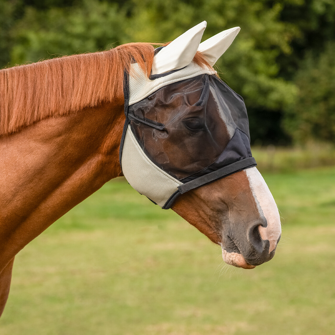 Fly mask with removable nose protection