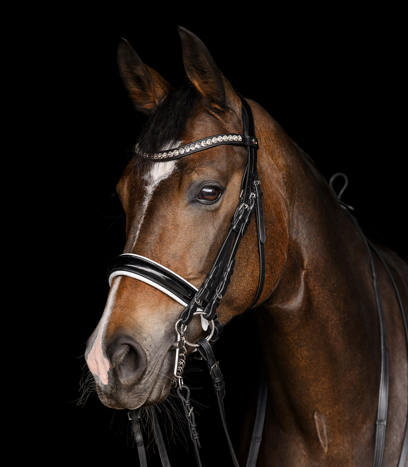 Kandarenzaum X-Line Evermore, schwedisch komb.in schwarz/weiß