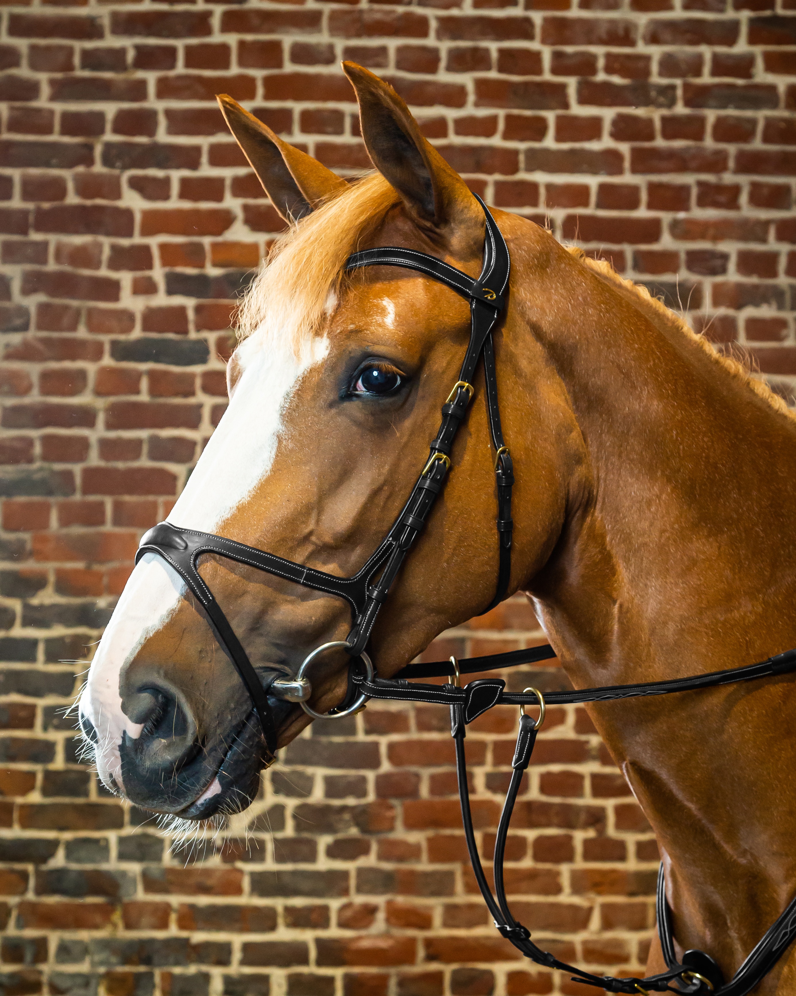 Snaffle X-fit