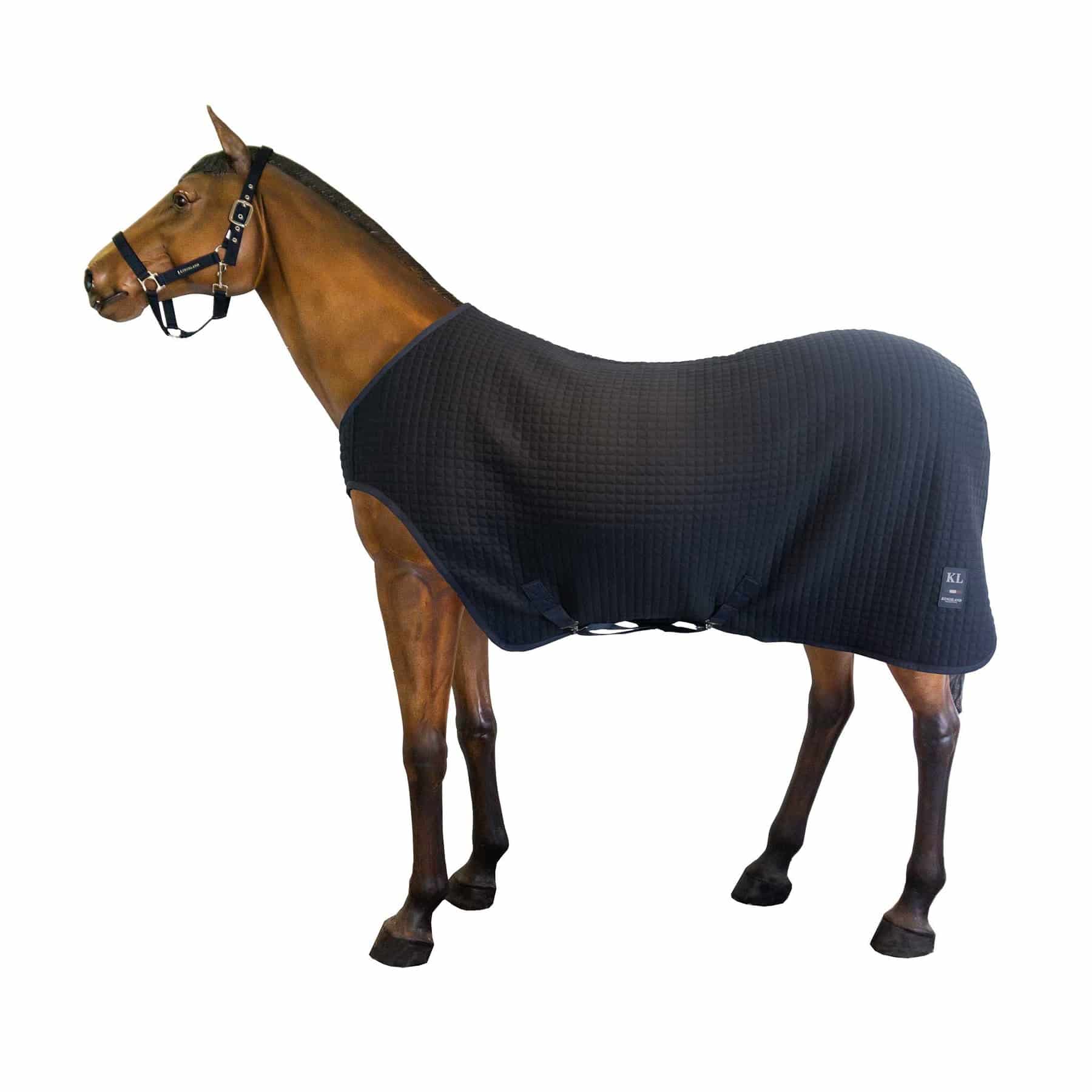 Lunging Rug Führmaschinendecke Wool Evolution Walker/Lunging Rug in navy | Cob ...