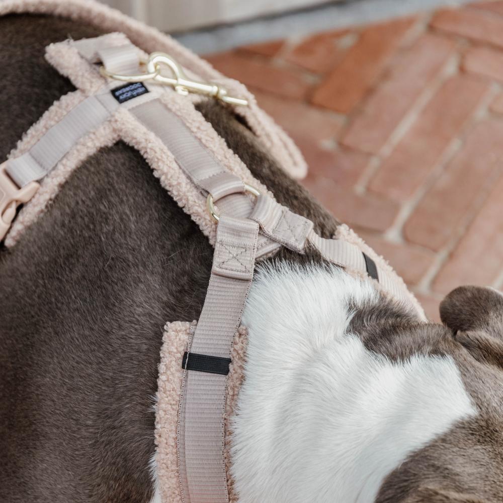 Hundegeschirr Aktiv Teddy Fleece | Kentucky Dogwear