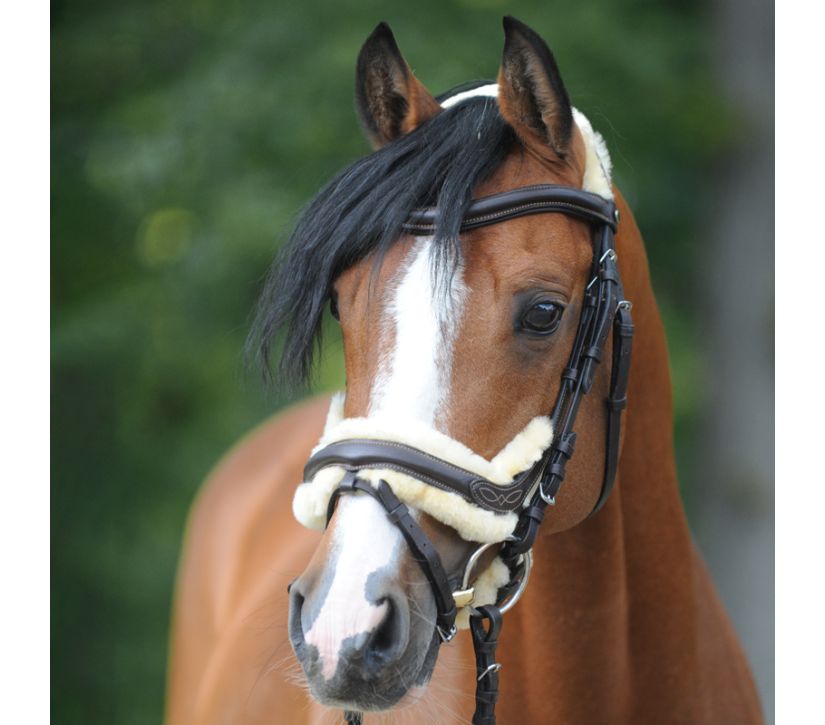 Snaffle "Ivy lambskin" close-comb.
