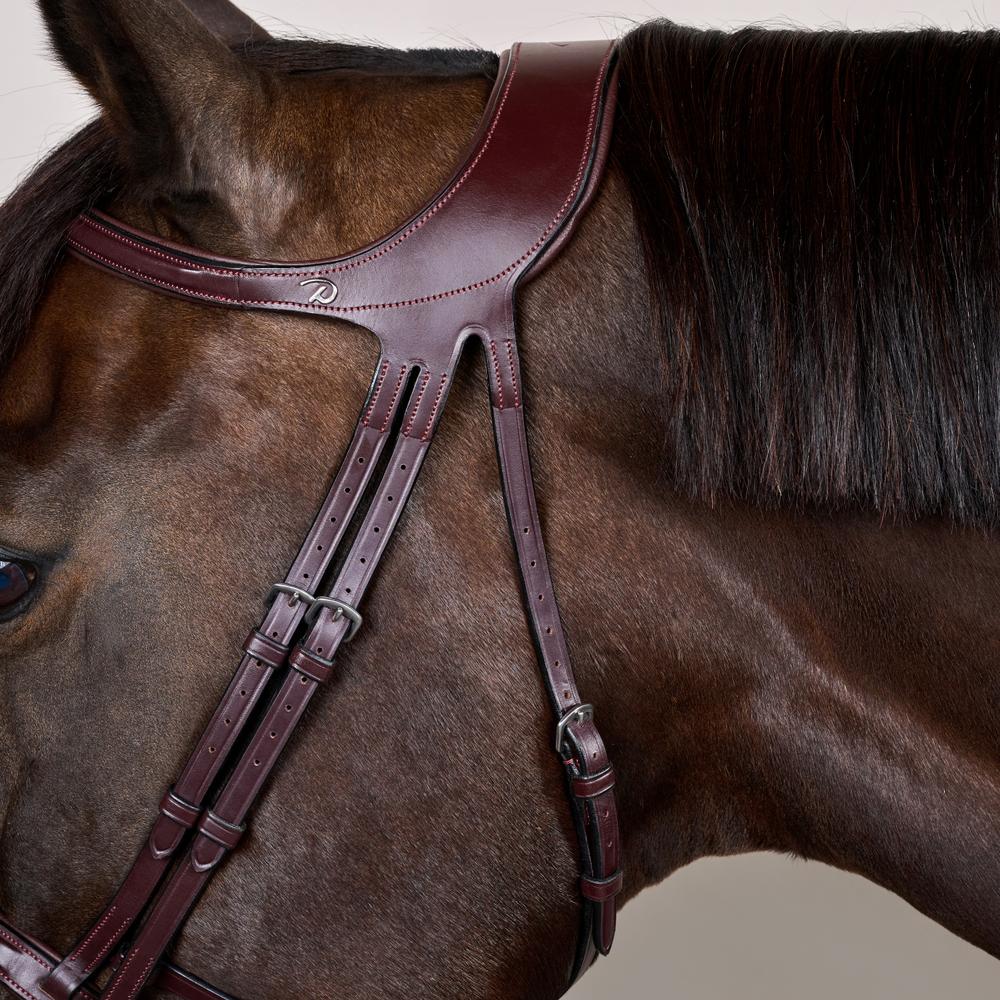 Difference Trense NE