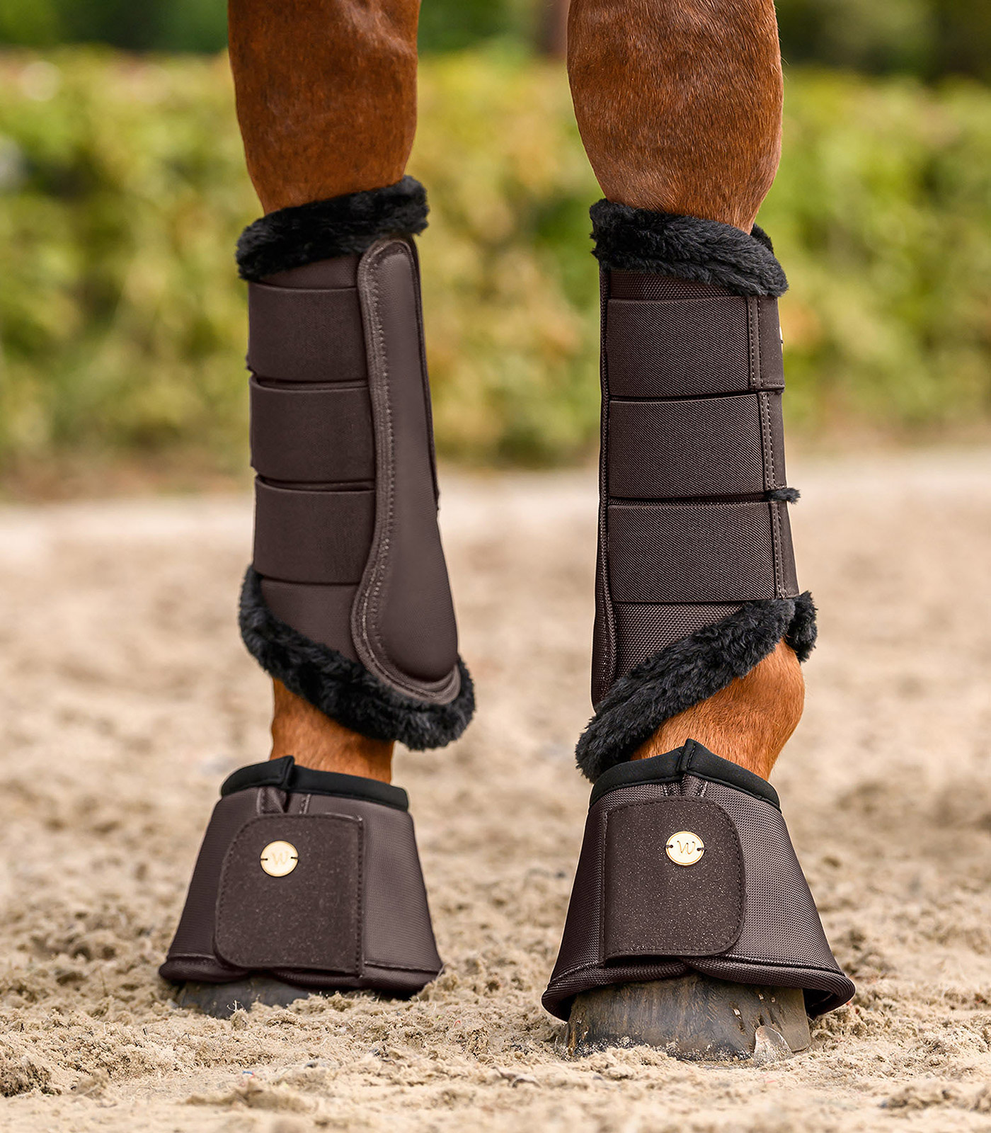 Bell boots Phoenix