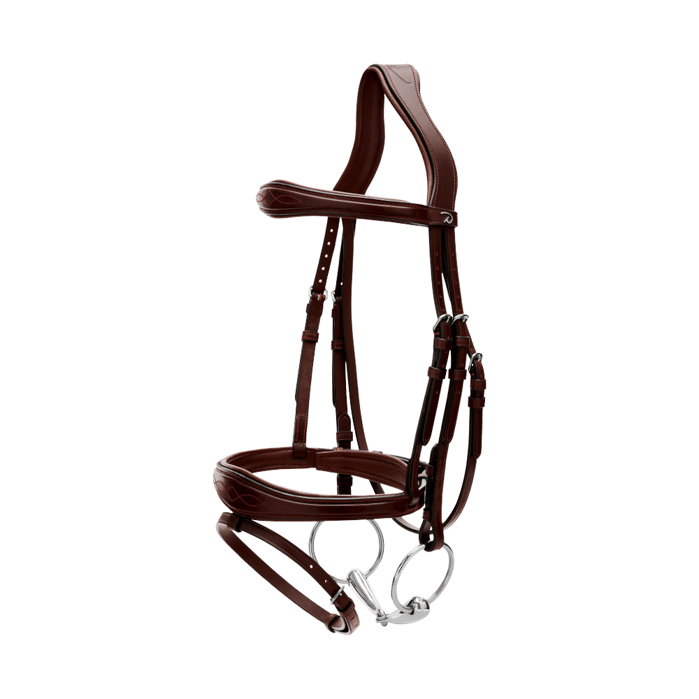 Anatomische Trense mit kombiniertem Reithalfter NE