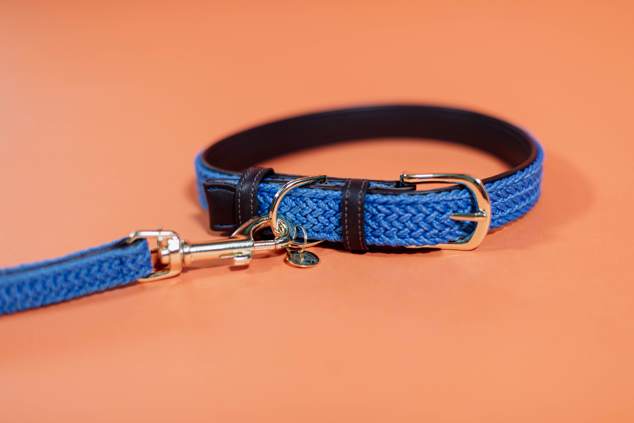 Nylon braided dog lead
