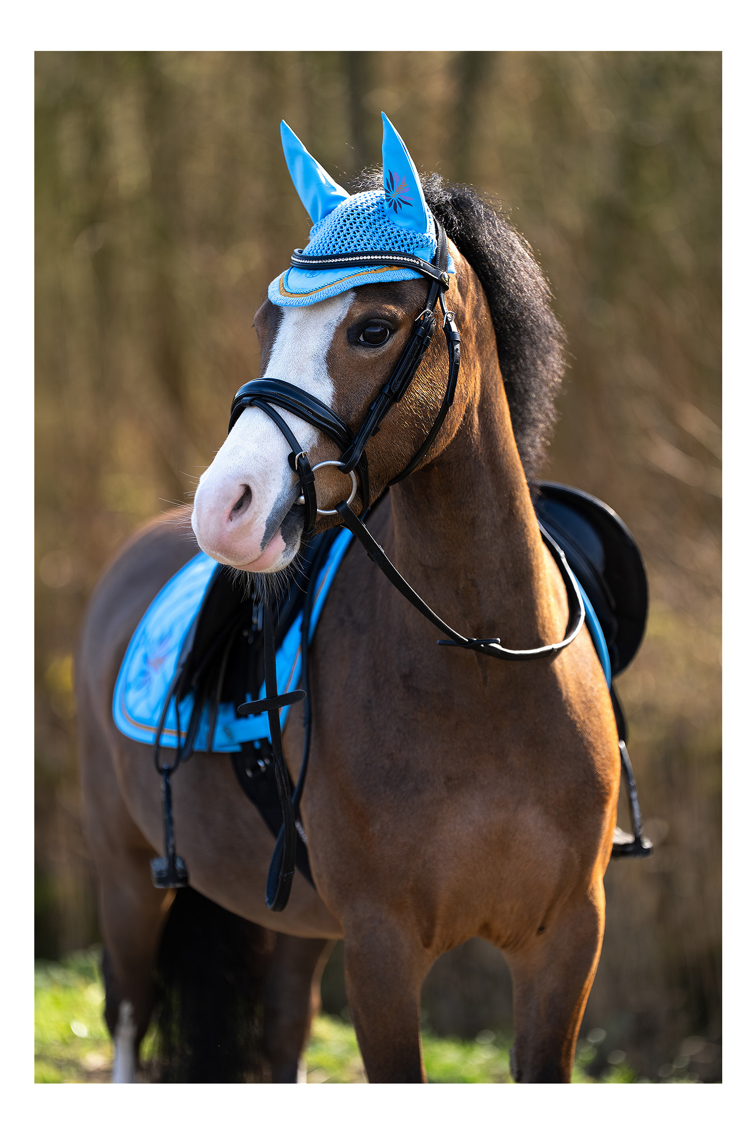 Mini Horse Ohrenhaube