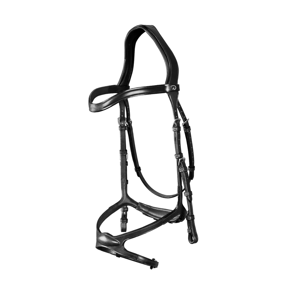 X-fit bridle NE